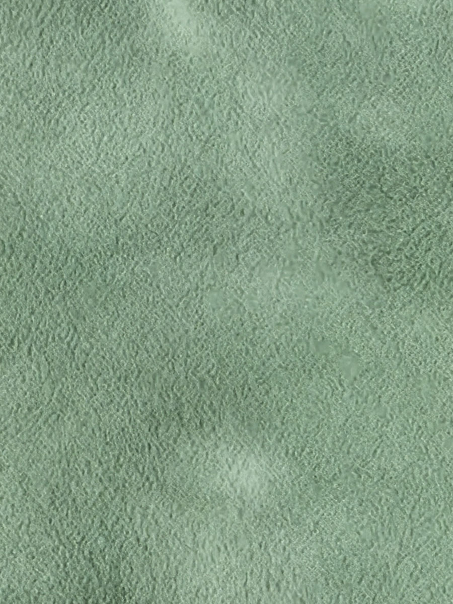 Olive Campaign